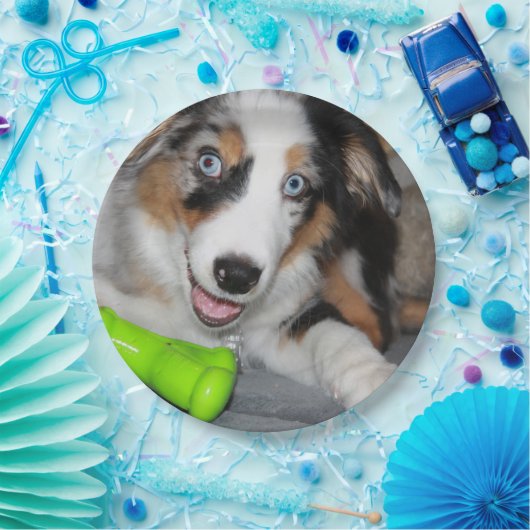 Miniatuur Amerikaanse Herder Blue Merle Puppy Papieren Bordje (Feest)