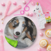 Miniatuur Amerikaanse Herder Blue Merle Puppy Papieren Bordje (Feest)