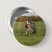 Miniatuur Amerikaanse Herder Blue Merle W speelgoe Ronde Button 7,6 Cm (Voorkant /achterkant)