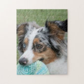 Miniatuur Amerikaanse Sepherd Blue Merle Legpuzzel (Verticaal)