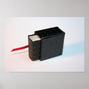 Miniatuur Artis's Boek met zijn doos Poster