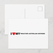miniatuur australische herder liefde briefkaart (Voorkant / Achterkant)