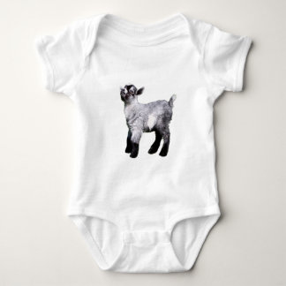 Miniatuur Baby Shirt