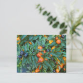 Miniatuur Bell Peppers Briefkaart (Staand voorkant)