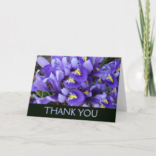 Miniatuur Blauwe Irissen Lente Bloemen Bedankkaart