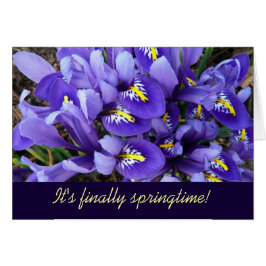 Miniatuur Blue Iriss Spring Floral