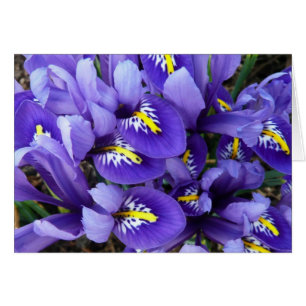 Miniatuur Blue Iriss Spring Floral