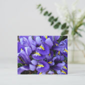 Miniatuur Blue Iriss Spring Floral (Staand voorkant)