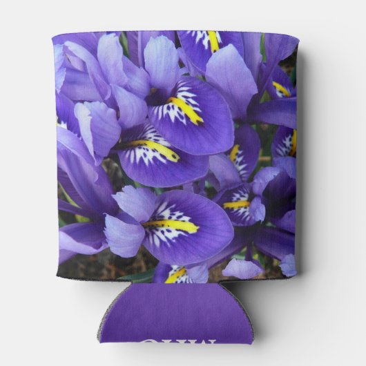 Miniatuur Blue Iriss Spring Floral Blikjeskoeler (Achterkant)