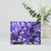 Miniatuur Blue Iriss Spring Floral Briefkaart (Staand voorkant)