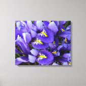 Miniatuur Blue Iriss Spring Floral Canvas Afdruk (Voorkant)