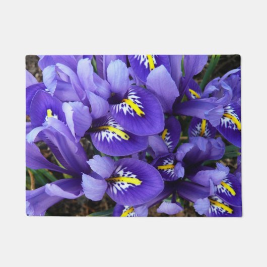Miniatuur Blue Iriss Spring Floral Deurmat (Voorkant)