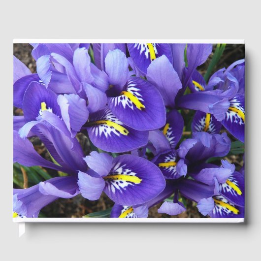 Miniatuur Blue Iriss Spring Floral Gastenboek (Voorkant)