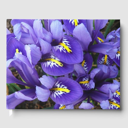 Miniatuur Blue Iriss Spring Floral Gastenboek (Voorkant)