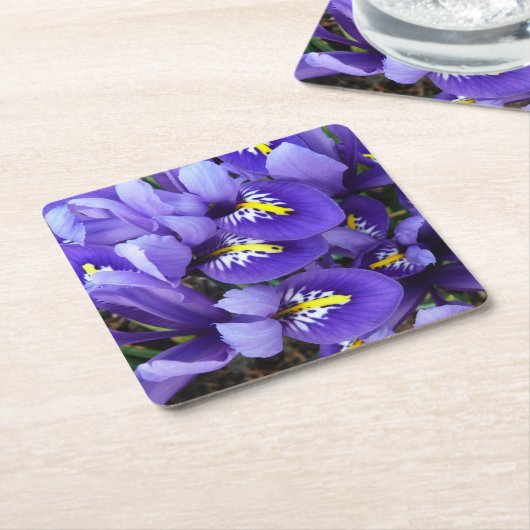 Miniatuur Blue Iriss Spring Floral Kartonnen Onderzetters (Schuin)