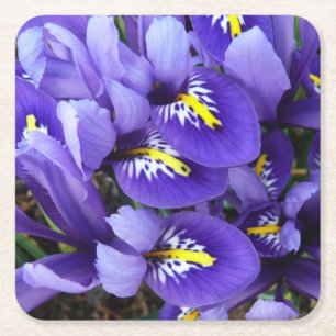 Miniatuur Blue Iriss Spring Floral Kartonnen Onderzetters