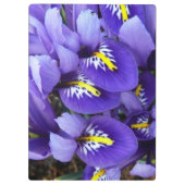 Miniatuur Blue Iriss Spring Floral Klembord (Achterkant)