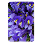 Miniatuur Blue Iriss Spring Floral Magneet (Verticaal)