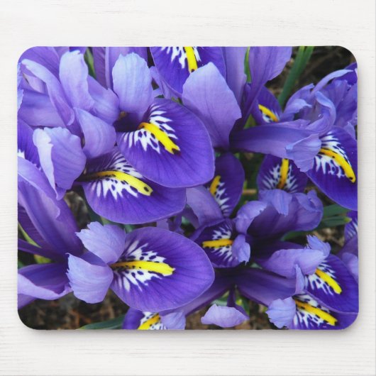 Miniatuur Blue Iriss Spring Floral Muismat (Voorkant)