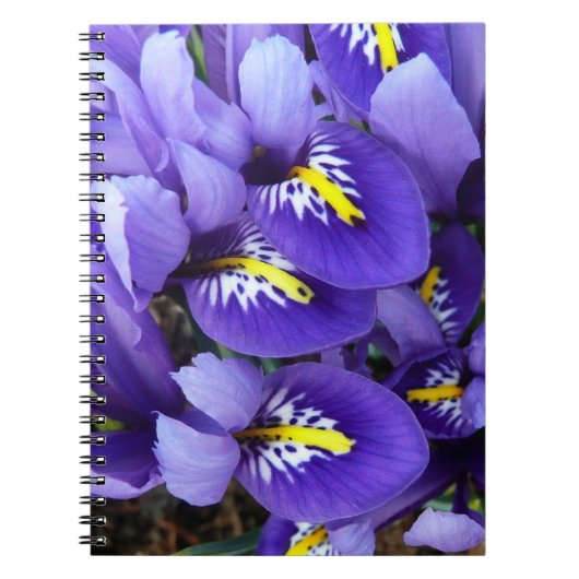 Miniatuur Blue Iriss Spring Floral Notitieboek (Voorkant)