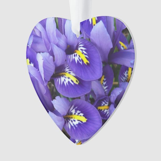 Miniatuur Blue Iriss Spring Floral Ornament (voorkant)