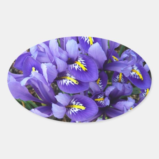 Miniatuur Blue Iriss Spring Floral Ovale Sticker (Voorkant)