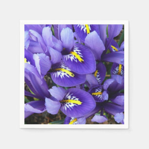 Miniatuur Blue Iriss Spring Floral Servet