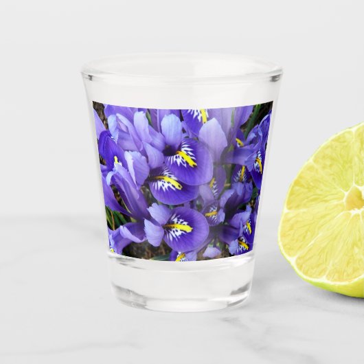 Miniatuur Blue Iriss Spring Floral Shot Glas (Voorkant)