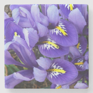 Miniatuur Blue Iriss Spring Floral Stenen Onderzetter