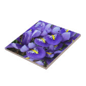 Miniatuur Blue Iriss Spring Floral Tegeltje (Zijkant)