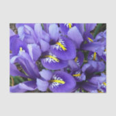 Miniatuur Blue Iriss Spring Floral Tissuepapier (Voorkant)
