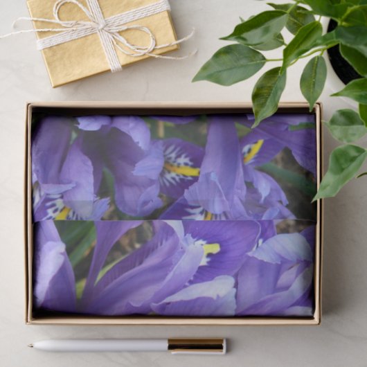 Miniatuur Blue Iriss Spring Floral Tissuepapier (Geschenk)