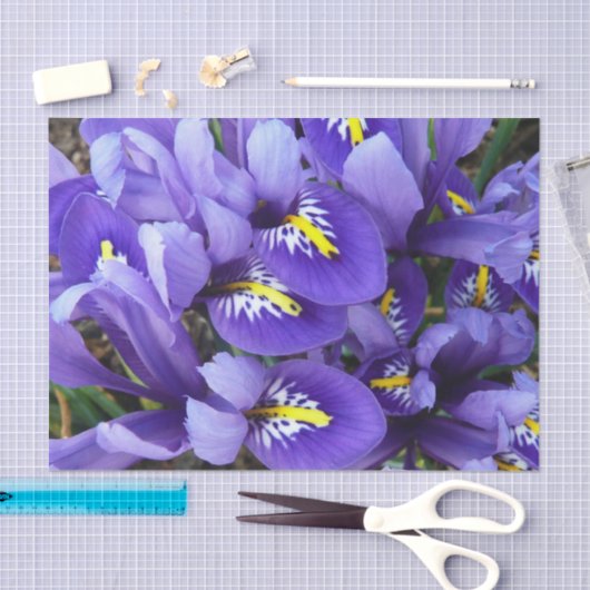 Miniatuur Blue Iriss Spring Floral Tissuepapier (Craft)