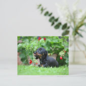 Miniatuur Dachshund 1 met gladde haren Briefkaart (Staand voorkant)