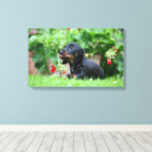 Miniatuur Dachshund 1 met gladde haren Canvas Afdruk (Insitu (Houten vloer))