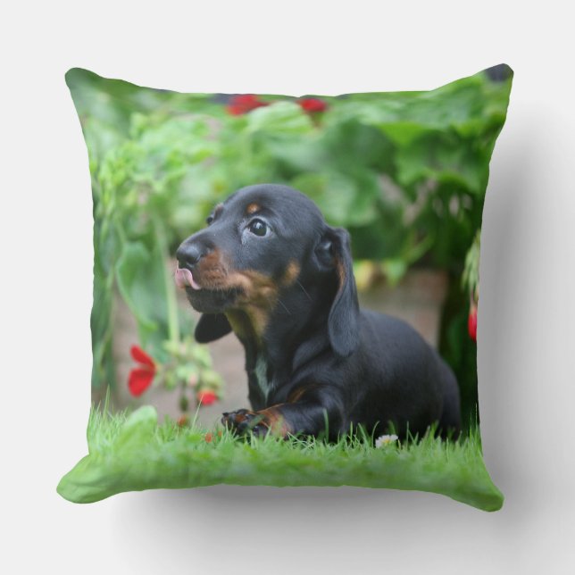 Miniatuur Dachshund 1 met gladde haren Kussen (Voorkant)