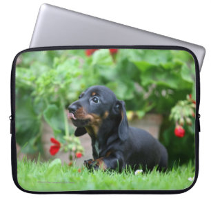 Miniatuur Dachshund 1 met gladde haren Laptop Sleeve