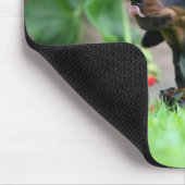 Miniatuur Dachshund 1 met gladde haren Muismat (Hoek)