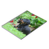 Miniatuur Dachshund 1 met gladde haren Notitieboek (Linkerzijde)