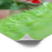 Miniatuur Dachshund 1 met gladde haren Poster (Hoek)