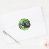 Miniatuur Dachshund 1 met gladde haren Ronde Sticker (Envelop)
