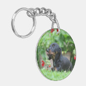 Miniatuur Dachshund 1 met gladde haren Sleutelhanger (Voorkant Links)