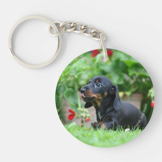 Miniatuur Dachshund 1 met gladde haren Sleutelhanger (Voorkant)