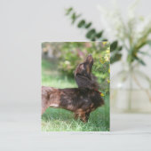 Miniatuur Dachshund 1 met lange vleugels Briefkaart (Staand voorkant)