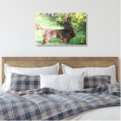 Miniatuur Dachshund 1 met lange vleugels Canvas Afdruk (Insitu (Slaapkamer))