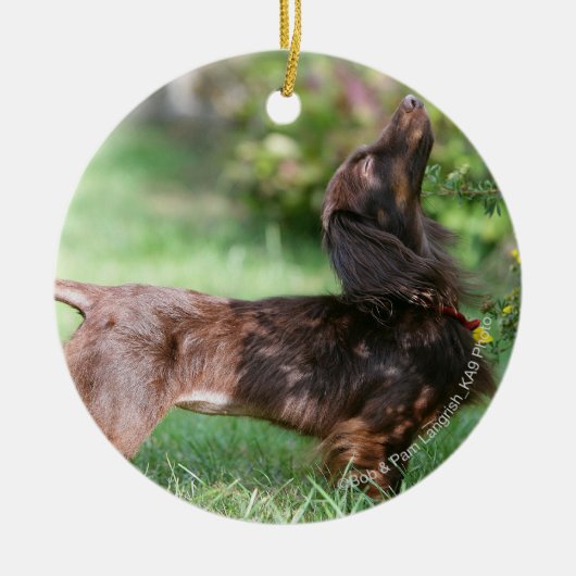 Miniatuur Dachshund 1 met lange vleugels Keramisch Ornament (Voorkant)