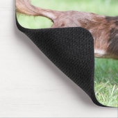 Miniatuur Dachshund 1 met lange vleugels Muismat (Hoek)