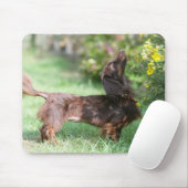 Miniatuur Dachshund 1 met lange vleugels Muismat (Met muis)