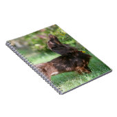 Miniatuur Dachshund 1 met lange vleugels Notitieboek (Rechterzijde)