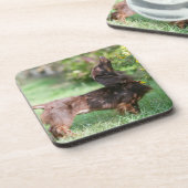 Miniatuur Dachshund 1 met lange vleugels Onderzetter (Linkerzijde)